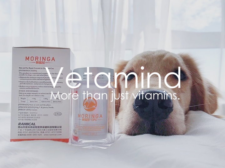 Vetamind