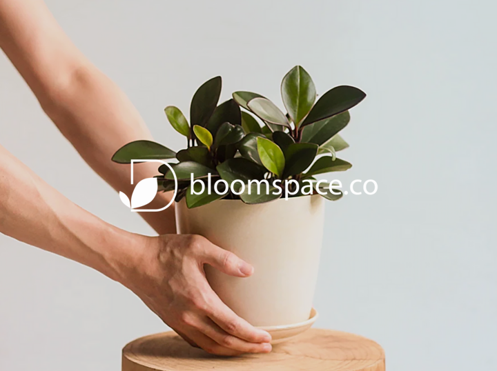 Shop Bloomspace.co on Atome