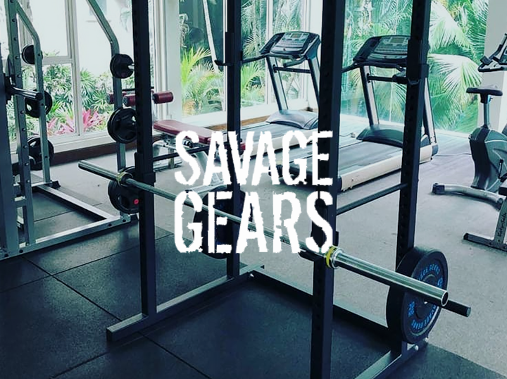 Savage Gears