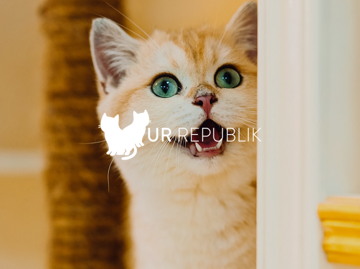 Shop FurRepublik on Atome