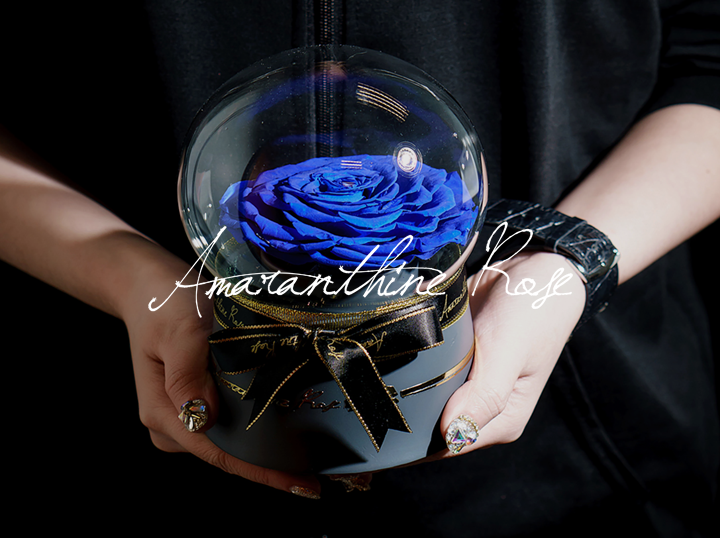 Amaranthine Rose