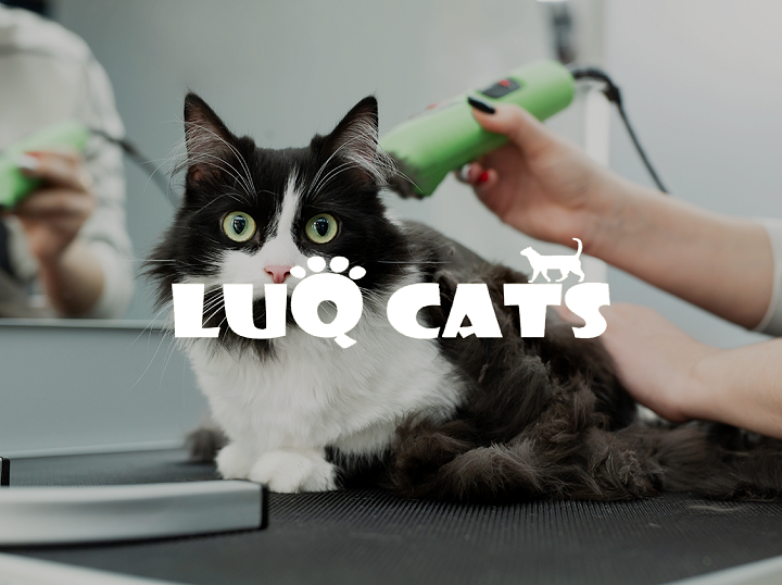 Shop Luq Cats on Atome