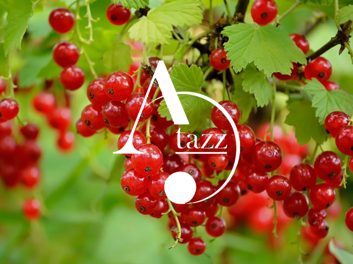 Nursery Kebun Bandar