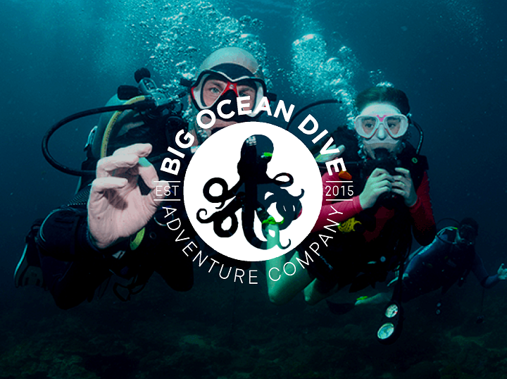 BIG OCEAN DIVE