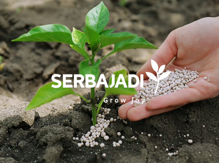 Shop Serbajadi Grow Joy on Atome