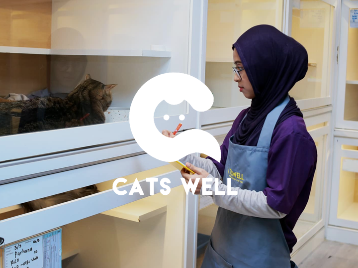 Shop CATSWELL on Atome
