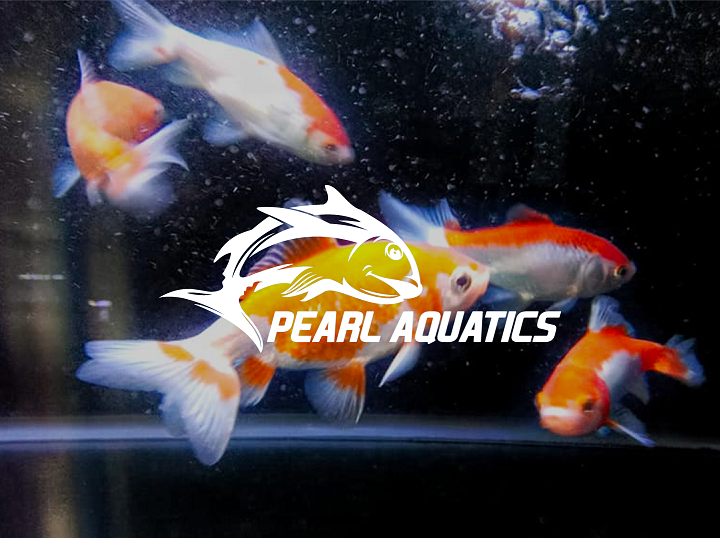 PEARL AQUATICS