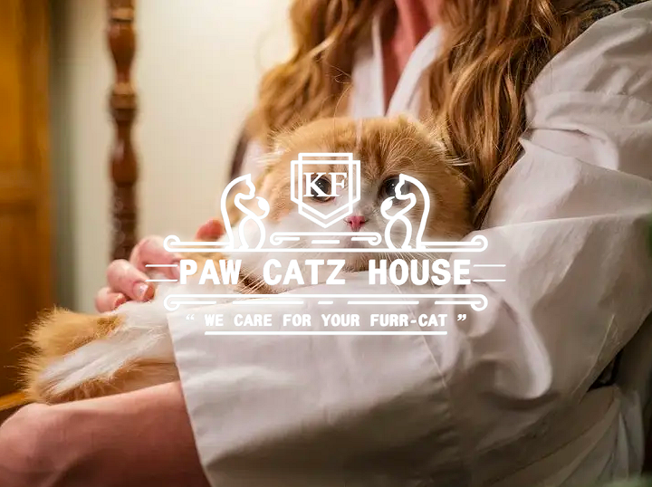 Paw Catz House
