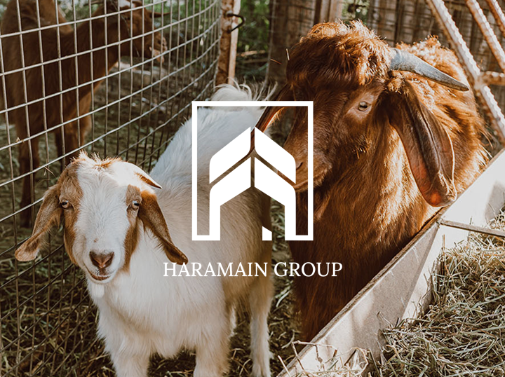 Shop HARAMAINGROUP on Atome