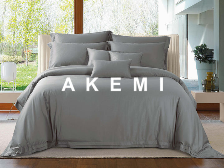 AKEMI