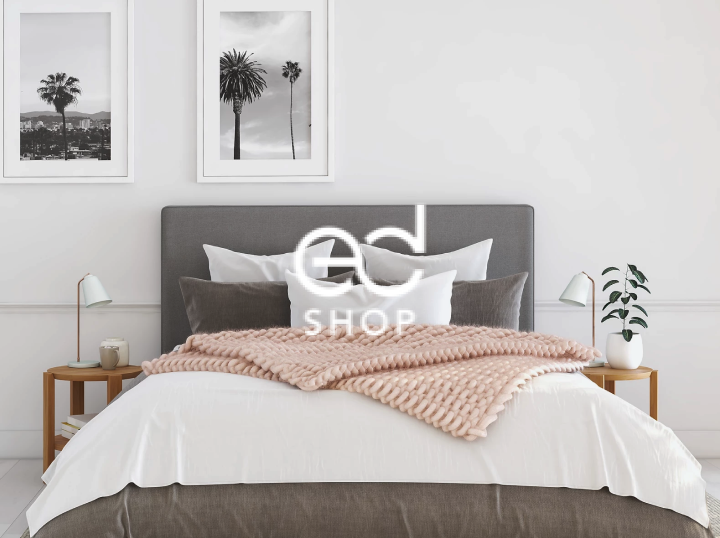 ED SHOP