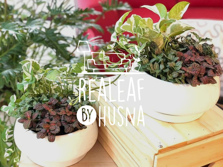 Shop Realeaf by Husna on Atome