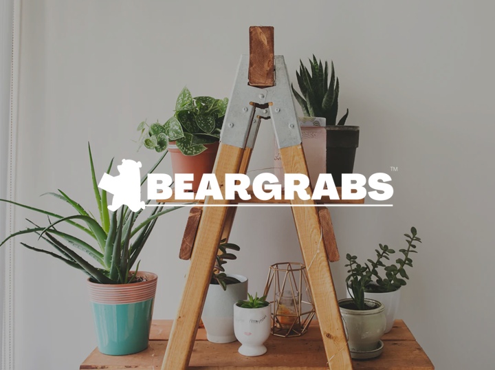 Bear Grabs