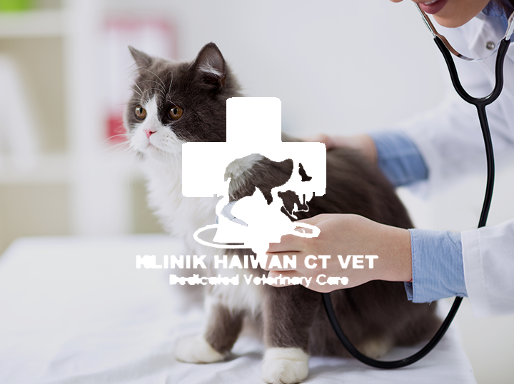 Klinik Haiwan CT VET