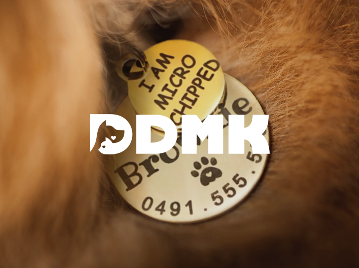 DDMK