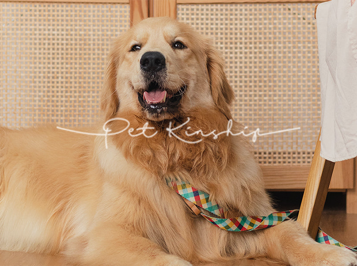 Pet Kinship