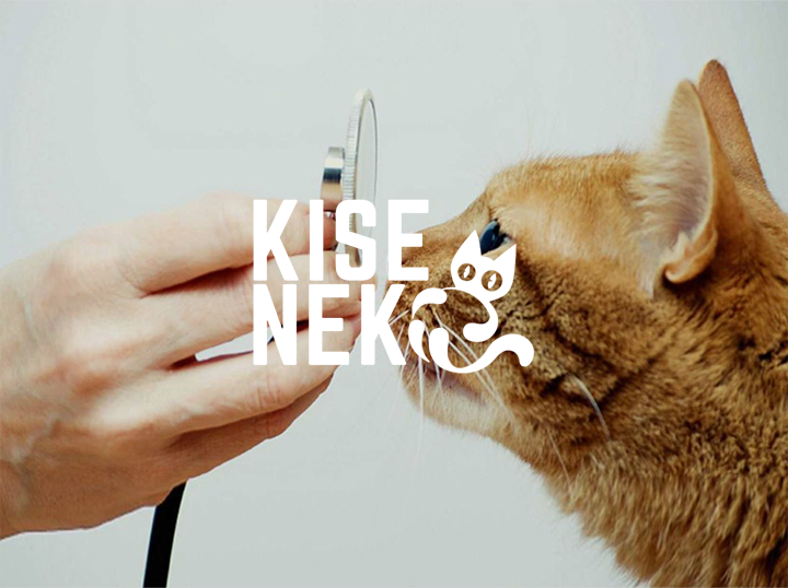 Shop kiseneko on Atome