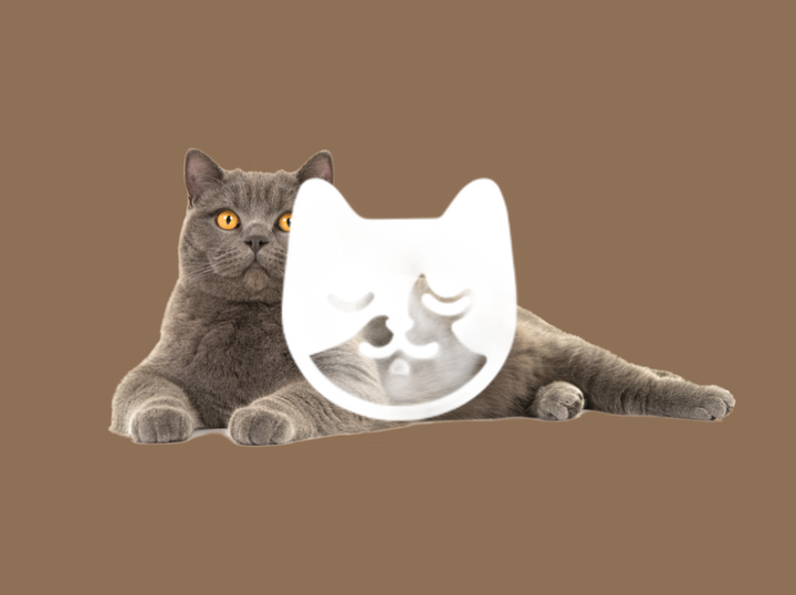 Shop FURRYTEL on Atome