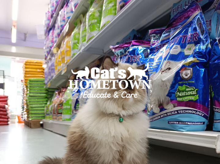 Shop CATS HOMETOWN on Atome