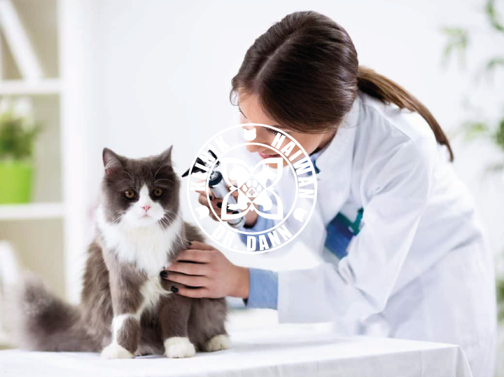 Klinik Haiwan Dr. Dann