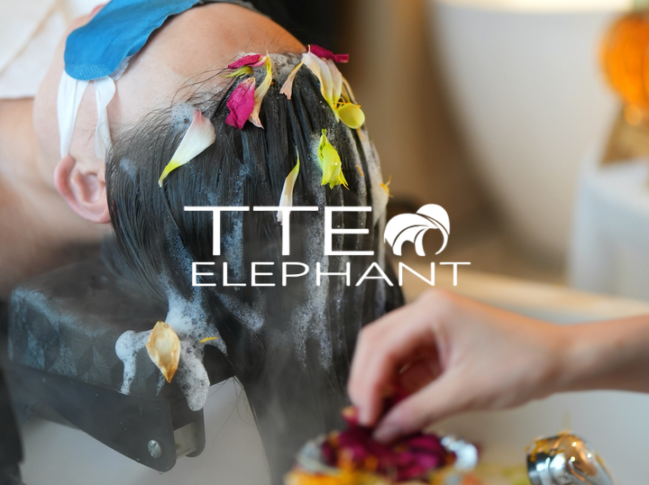 TTE ELEPHANT HEADSPA