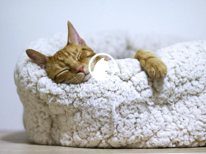 Shop iVET PETCARE on Atome