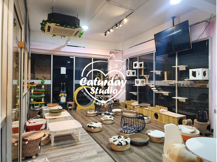 Shop Caturday Studio on Atome