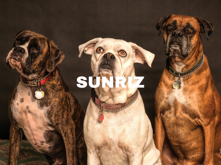 SUNRIZ