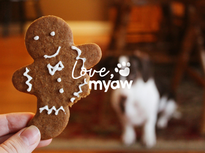 Love Myaw