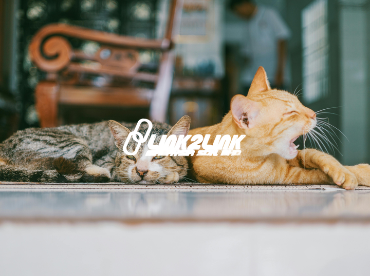 Link 2 Link
