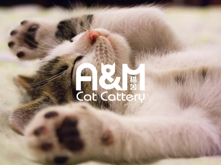 AM Cat Cattery