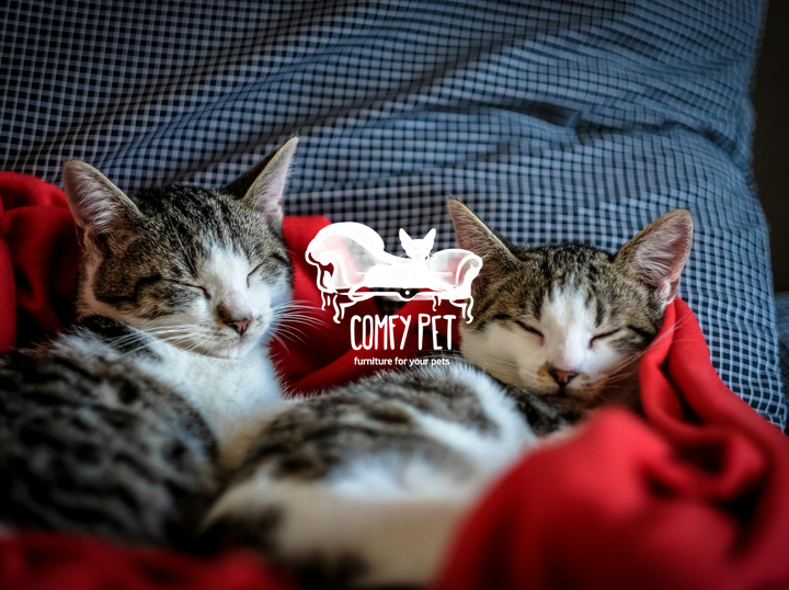 Shop COMFYPET on Atome