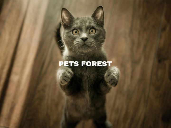 Pets Forest