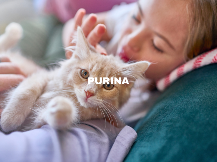 Shop Purina on Atome
