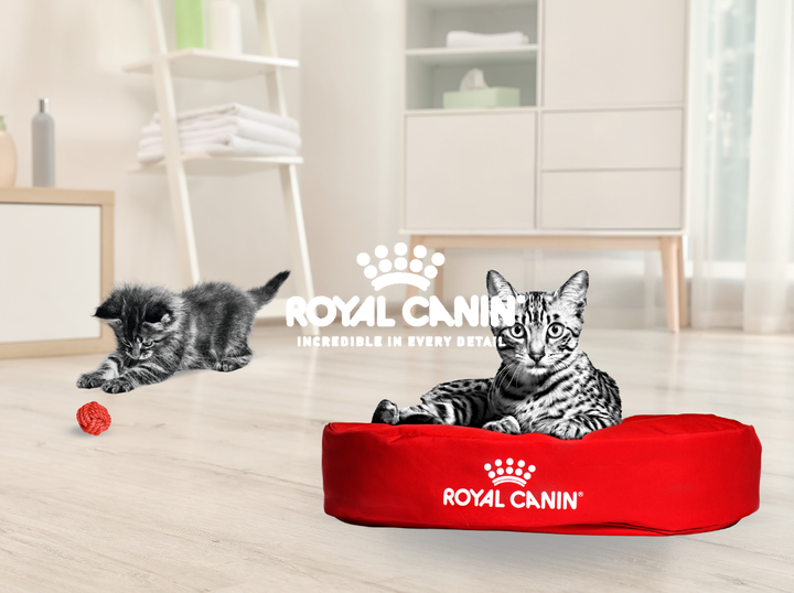 Shop Royal Canin on Atome