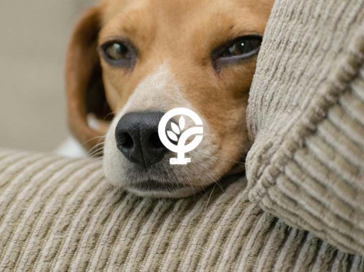 Shop GTF WORLDWIDE on Atome