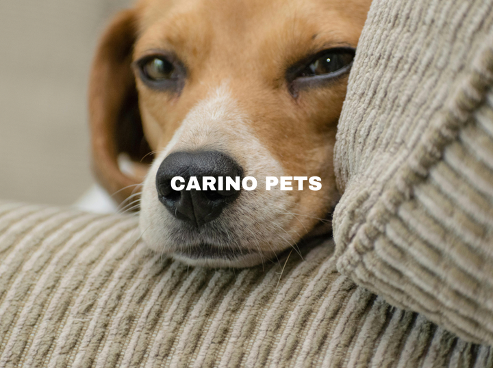 Shop Carino Pets on Atome