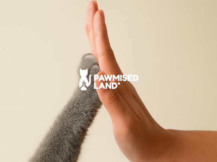Pawmised Land 