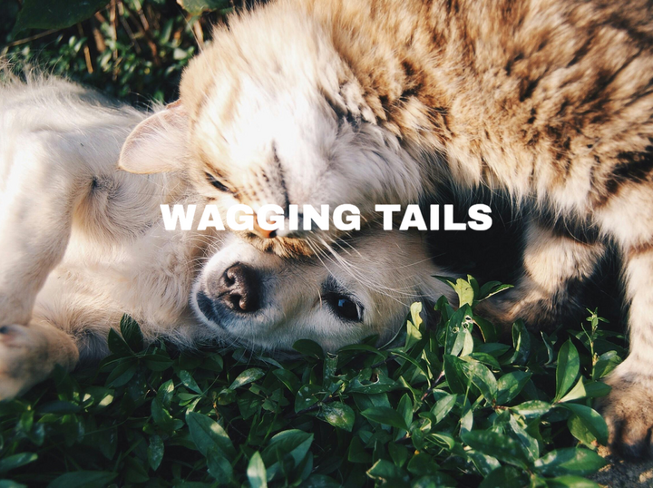 WAGGING TAILS