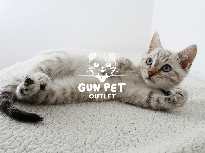 GUN PET OUTLET