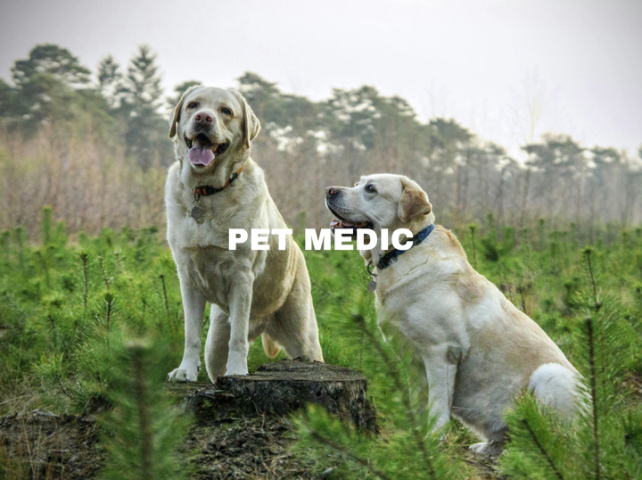 PetMedic MY
