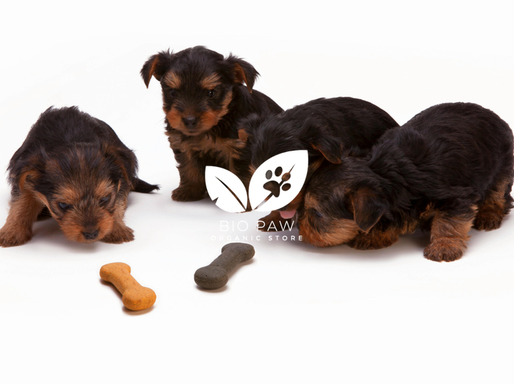 Shop Bio Paw Organic Store on Atome