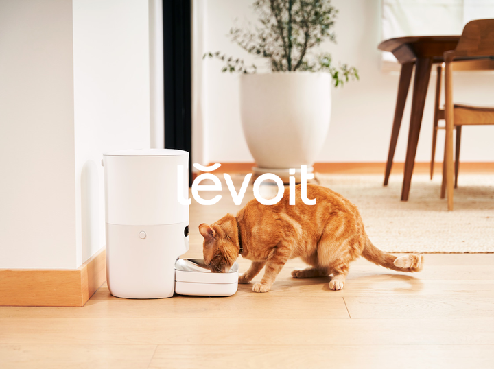 Levoit Malaysia