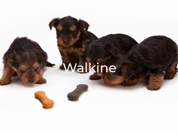 Walkine