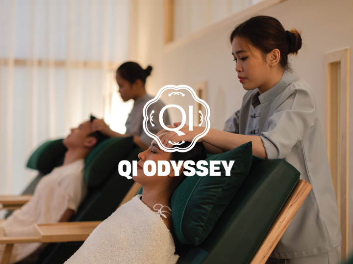 Qi Odyssey