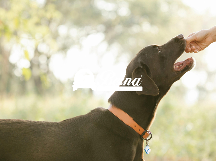 Beina Treats