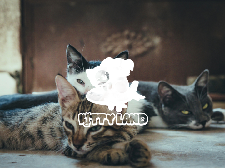 KITTY LAND PET SHOP
