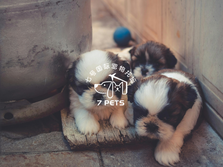 7 PETS RELOCATION EMPIRE