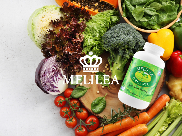 MELILEA