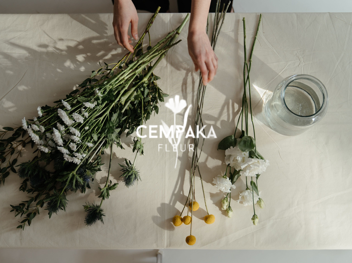 Cempakafleur